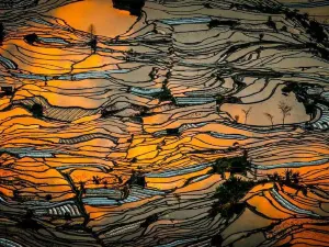 Sunsets in Yuanyang