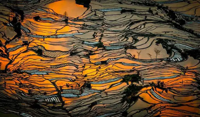 Sunsets in Yuanyang
