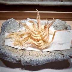 Tentenpura Uchitsu User Photo