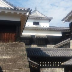 Asahi User Photo