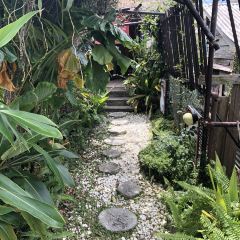 Ryuusou Teahouse張用戶圖片