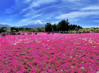 來日本關東，好多嘅地方都好適合自駕遊！| 今次山中湖推薦！