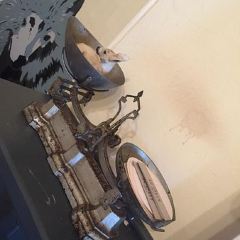 Scout Cafe User Photo