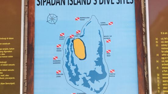 西巴丹島每日限額進入，這裡潛水可以看到許多海龜、白鰭鯊魚、浪