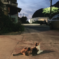 綠島必去海水溫泉—朝日溫泉