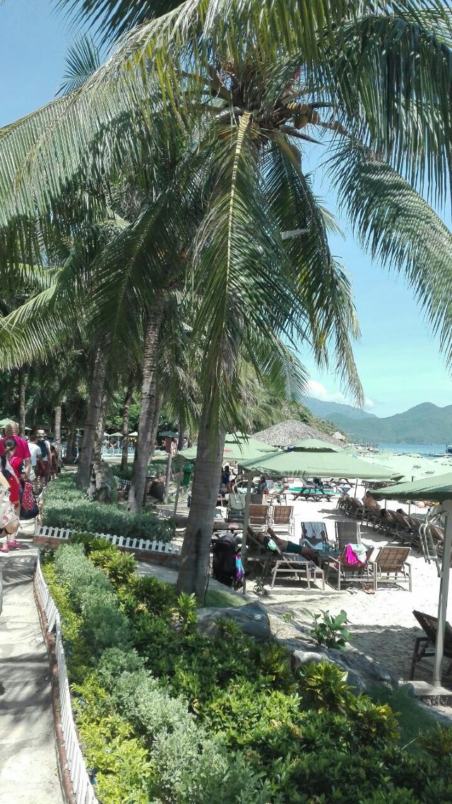 Hon Tam