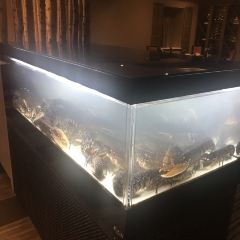 The Lobster & Grill User Photo