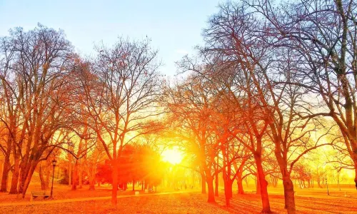 Tara National Park