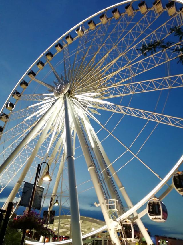 Niagara Skywheel