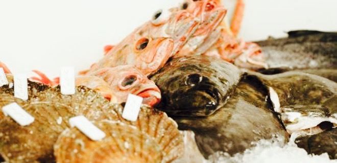 Seafood Bar
