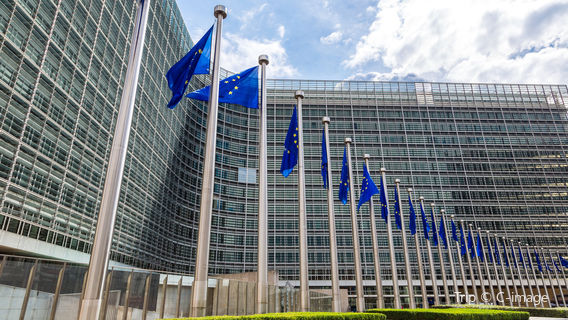 Bruselas