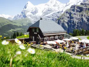 Panorama Restaurant Allmendhubel