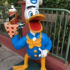 The Golden Duck User Photo