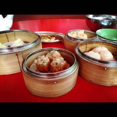 Tao Chinese Cuisine User Photo