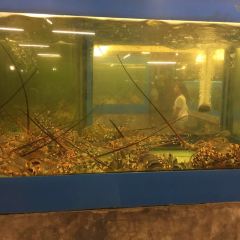 Pupen Seafood Pattaya User Photo