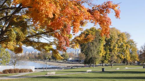 Kitsilano Beach