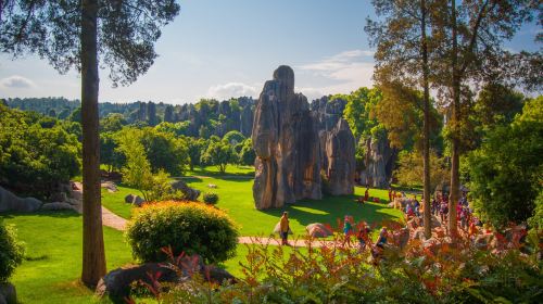 Stone Forest