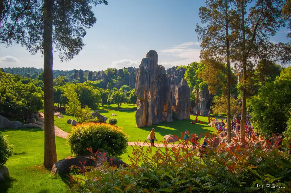 5_Stone Forest Scenic Area