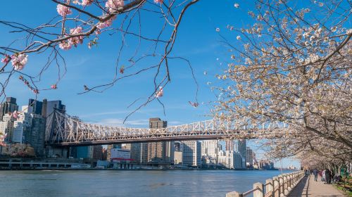 Roosevelt Island