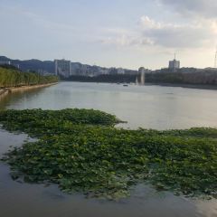 Daqinghua Dumpling House (shanzhuang) User Photo