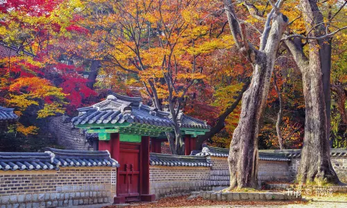 창덕궁