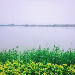 Zhongxintaifuzhujiajiaojinjiangjiudian·pinmingge User Photo