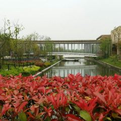 Zhongxintaifuzhujiajiaojinjiangjiudian·pinmingge User Photo