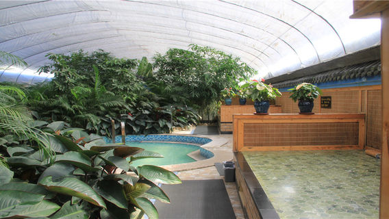 Huaxidi Hot Spring Ecological Park Ticket + project 9 choose 1 vote Individual