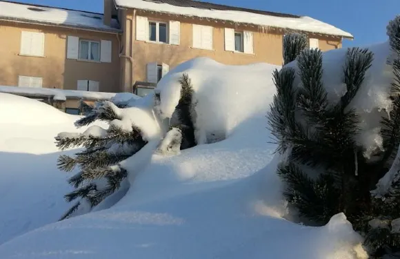 貝爾霍里贊酒店