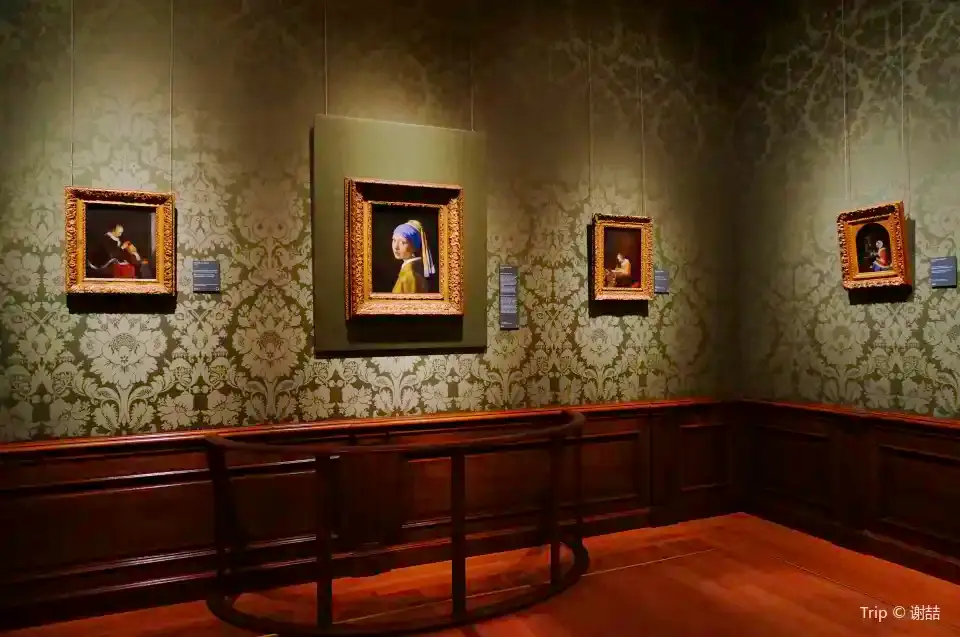 3_Mauritshuis Museum