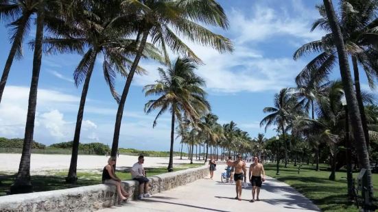 邁阿密其實就是一個長年無冬的海濱城市，除了海水，陽光和沙灘，