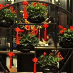 Jiang by Chef Fei User Photo
