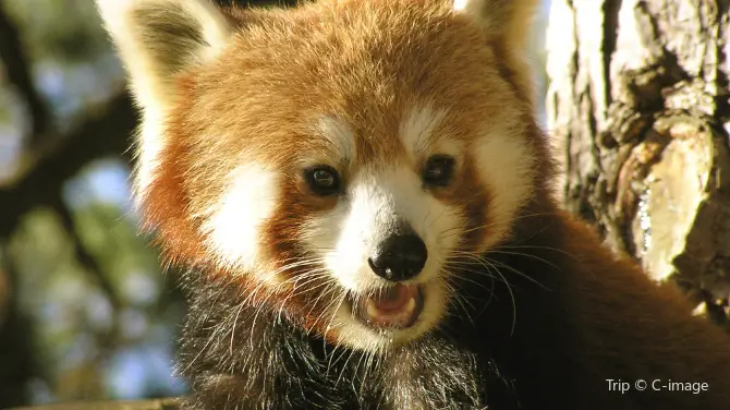 2_Edinburgh Zoo
