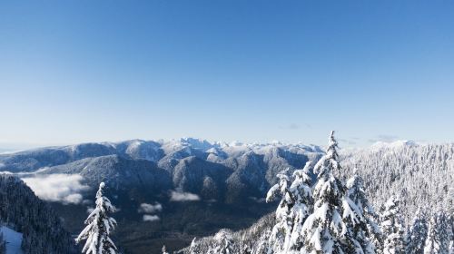 Mount Seymour Provincial Park