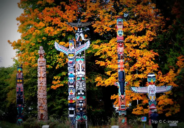 Maple Leaf Viewing in Vancouver