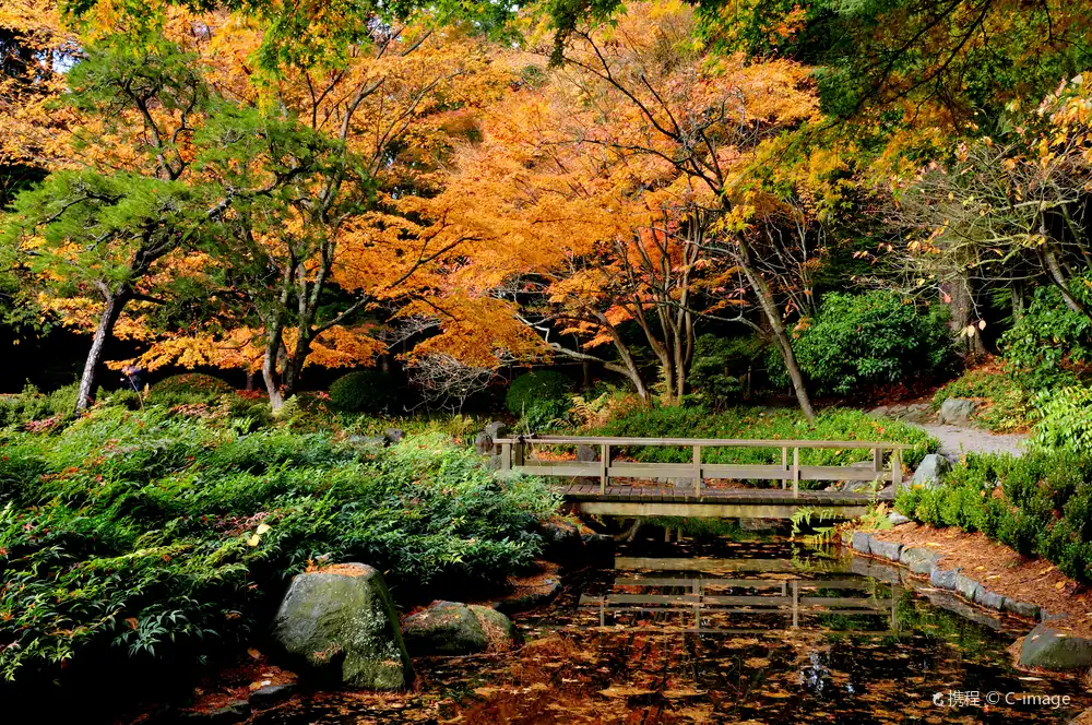 Hotels near Nitobe Memorial Garden