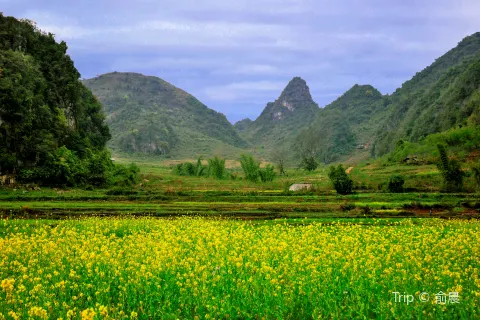 Bamei Xanadu Scenic Area