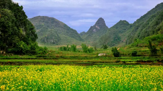 壩美世外桃源景區