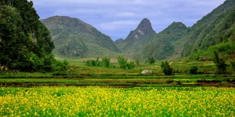 壩美世外桃源景區