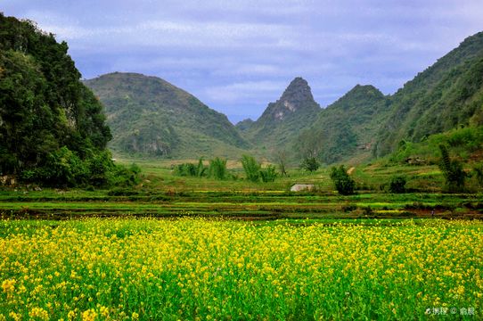 Bamei Xanadu Scenic Area