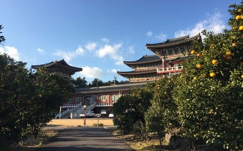 药泉寺是济州第一大寺，游客很少，非常安静的一座寺庙，面海而建
