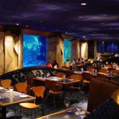 Reef Restaurant User Photo