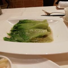 ZI YAT HEEN User Photo