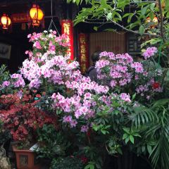 老宅子私房菜馆(大理古城店) User Photo