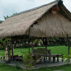 Sweet Orange Warung User Photo