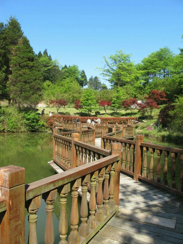 Yangtian Lake Scenic Area