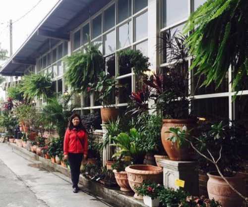 Wenxin Garden & Caffe