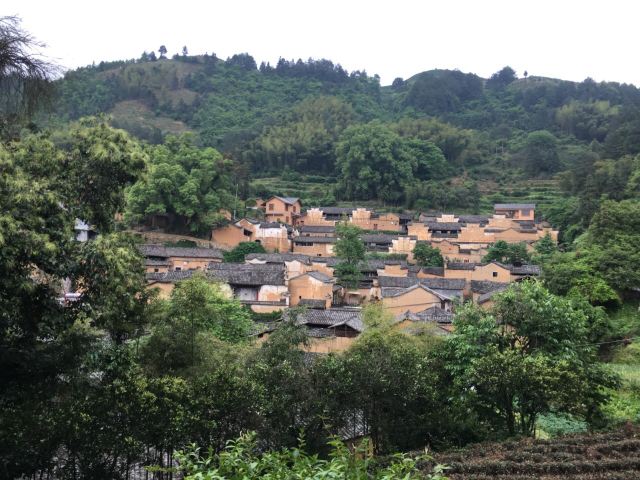 楊家堂村