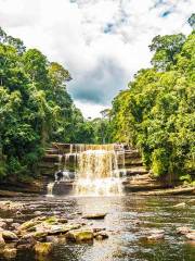 Maliau Basin Conservation Area