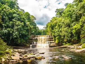 Maliau Basin Conservation Area